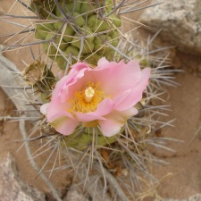 P1016270