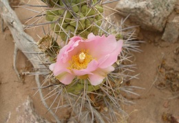 P1016270