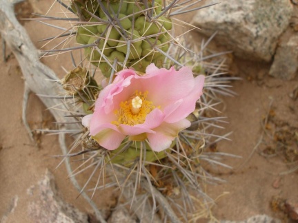 P1016270