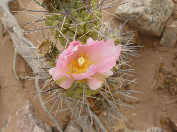 P1016270