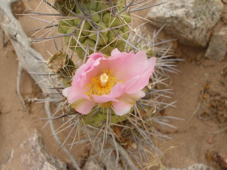 P1016270