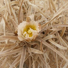 P1016273