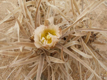 P1016273