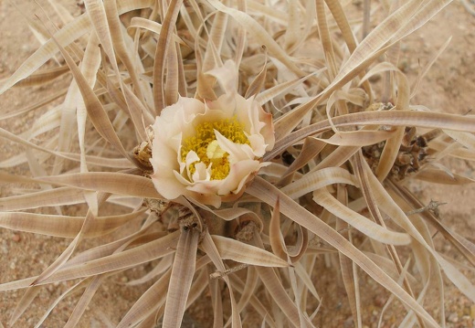 P1016273
