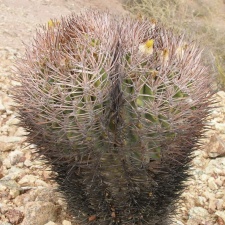 P1016278