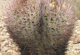 P1016278