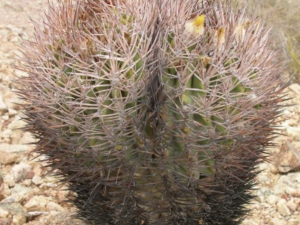 P1016278