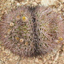 P1016279