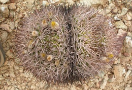 P1016279