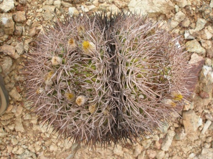 P1016279