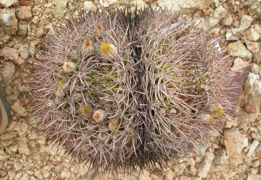 P1016279