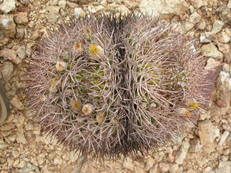 P1016279