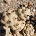 P1016288