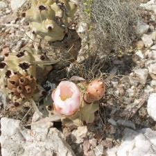 P1016289