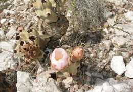 P1016289