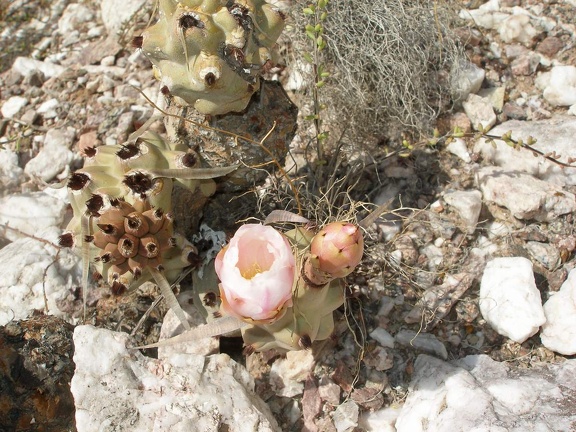 P1016289