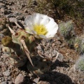 P1016293