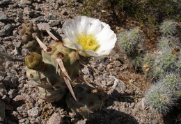 P1016293