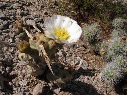 P1016293