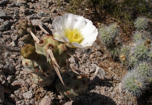 P1016293