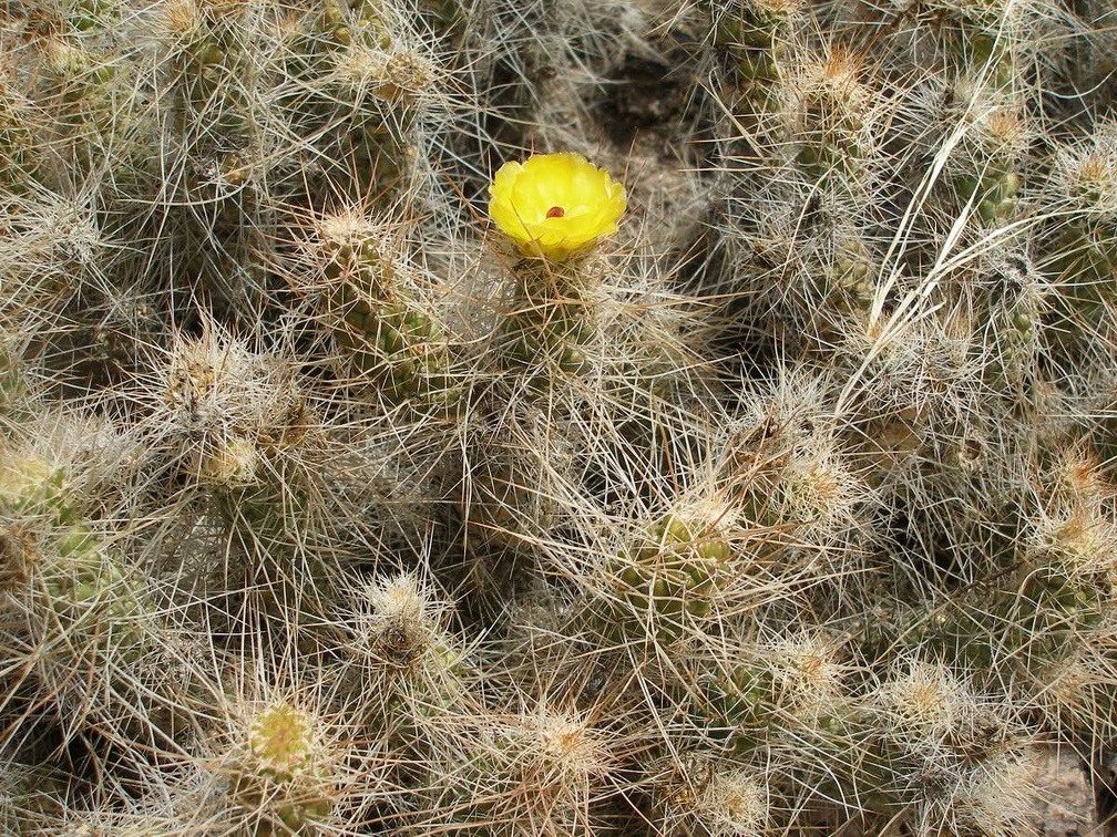 P1016298