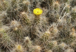 P1016298