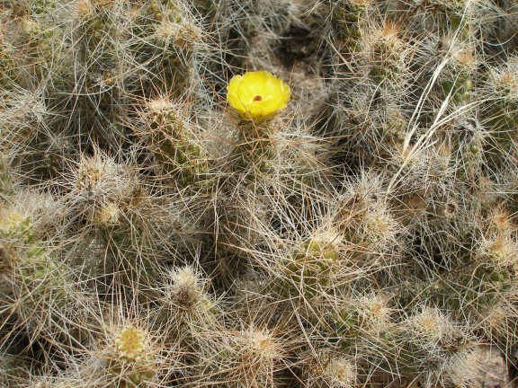 P1016298