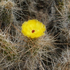 P1016299