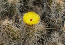 P1016299