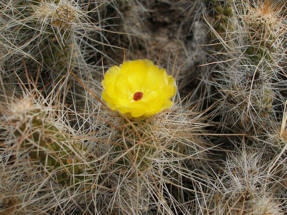 P1016299