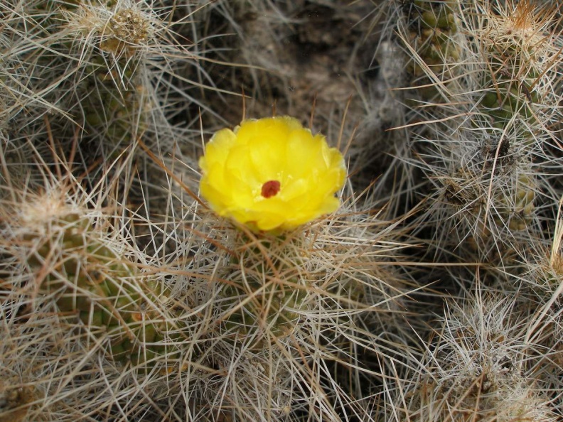 P1016299