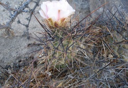 P1016304