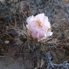 P1016305