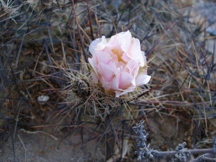 P1016305