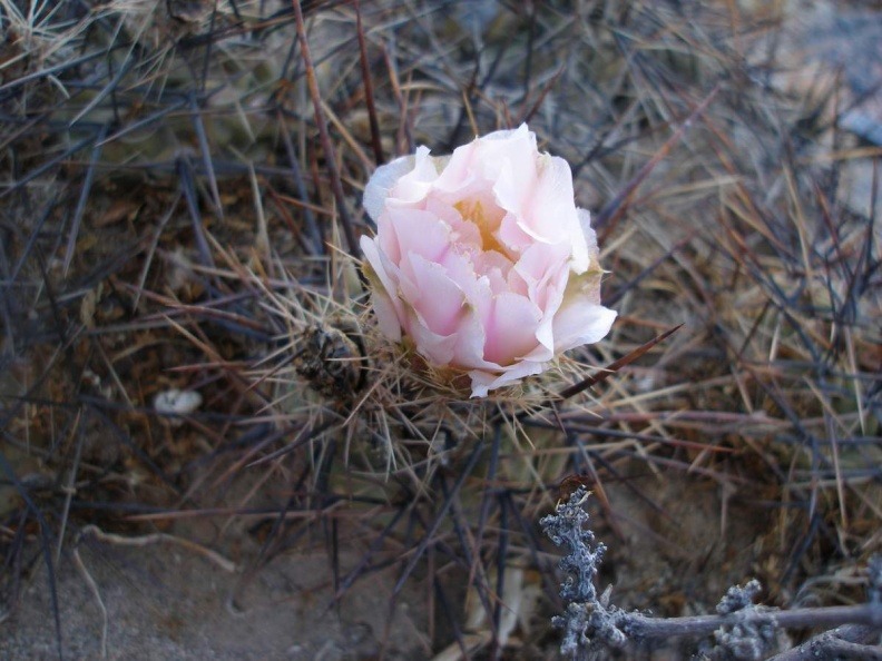 P1016305