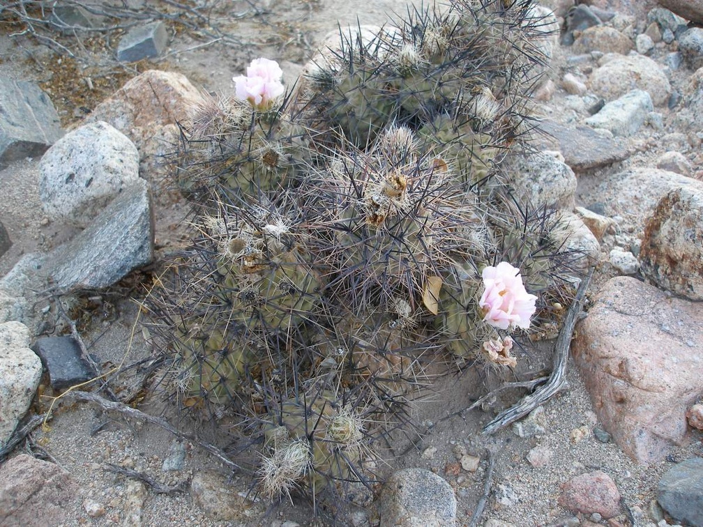 P1016306