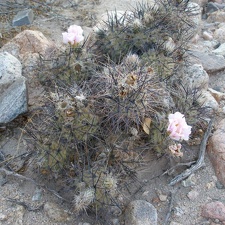 P1016306