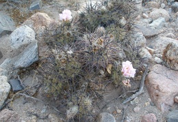 P1016306