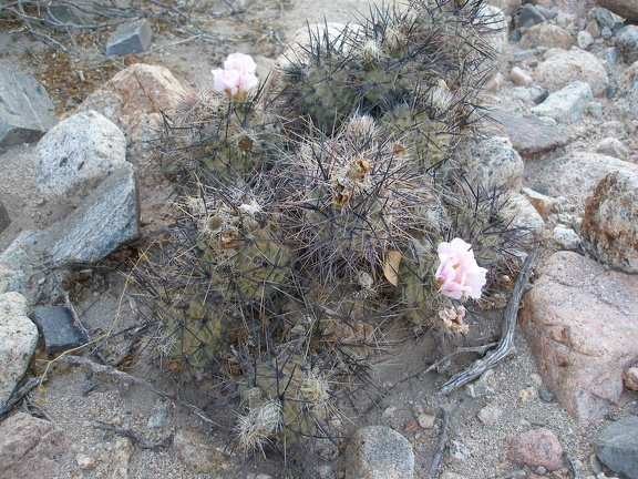 P1016306