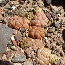 P1016308