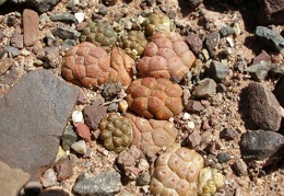 P1016308