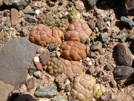 P1016308