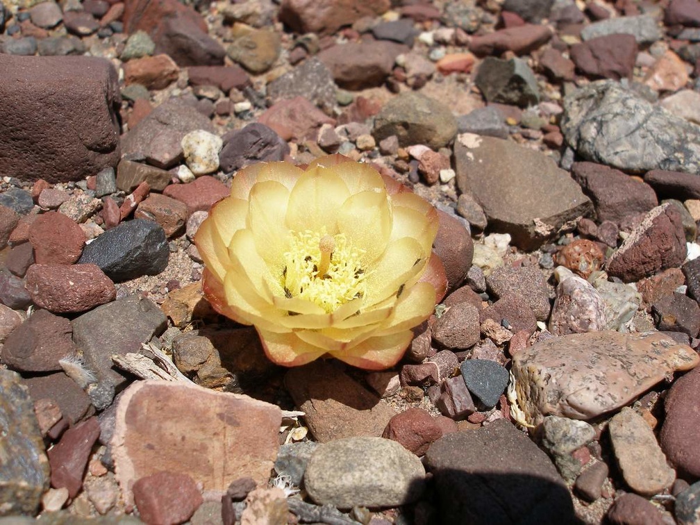 P1016321