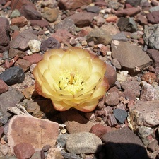 P1016321