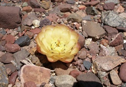 P1016321