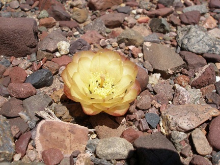 P1016321