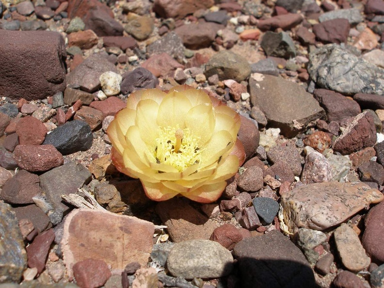 P1016321
