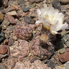P1016328