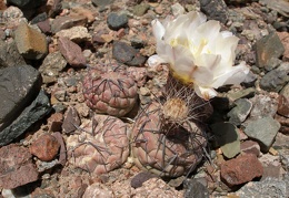 P1016328
