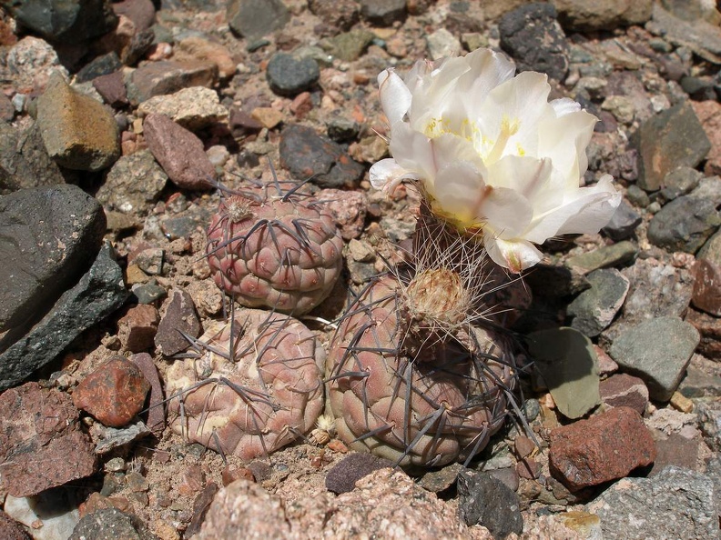 P1016328